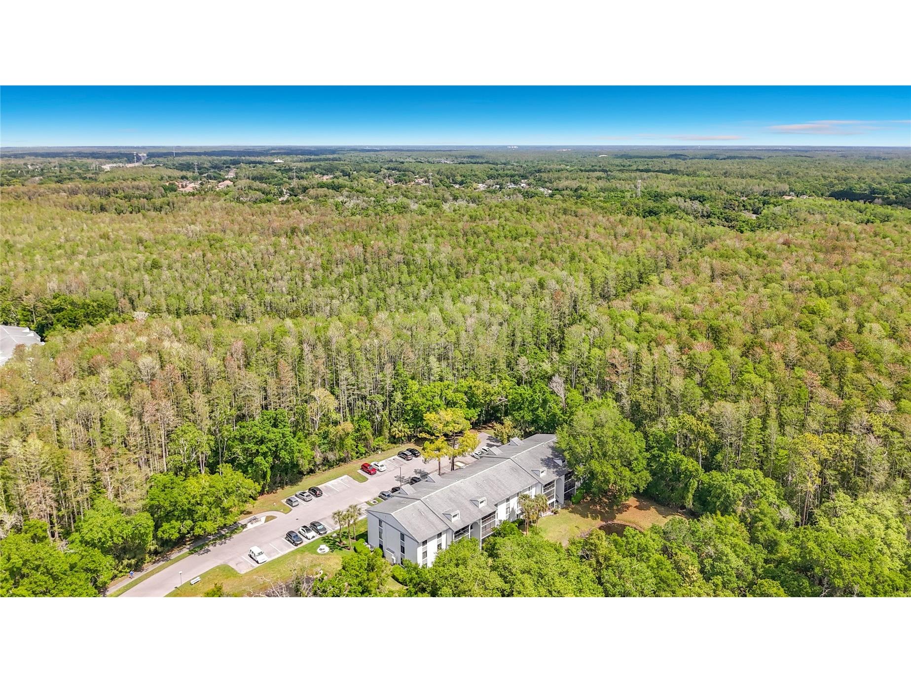 1372 Pine Ridge Circle E #H3 Tarpon Springs FL 34688 TB8493883 image37