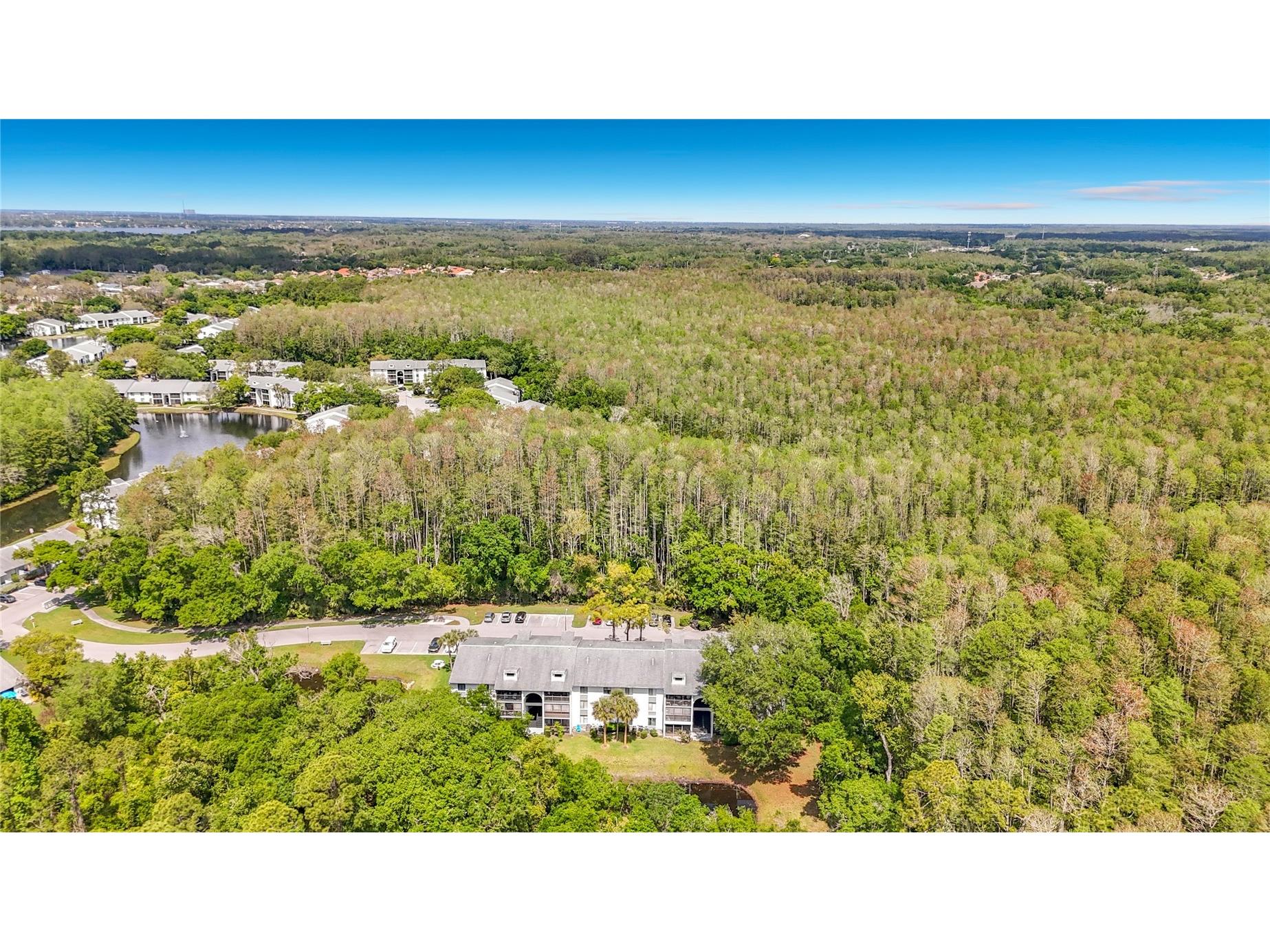 1372 Pine Ridge Circle E #H3 Tarpon Springs FL 34688 TB8493883 image38