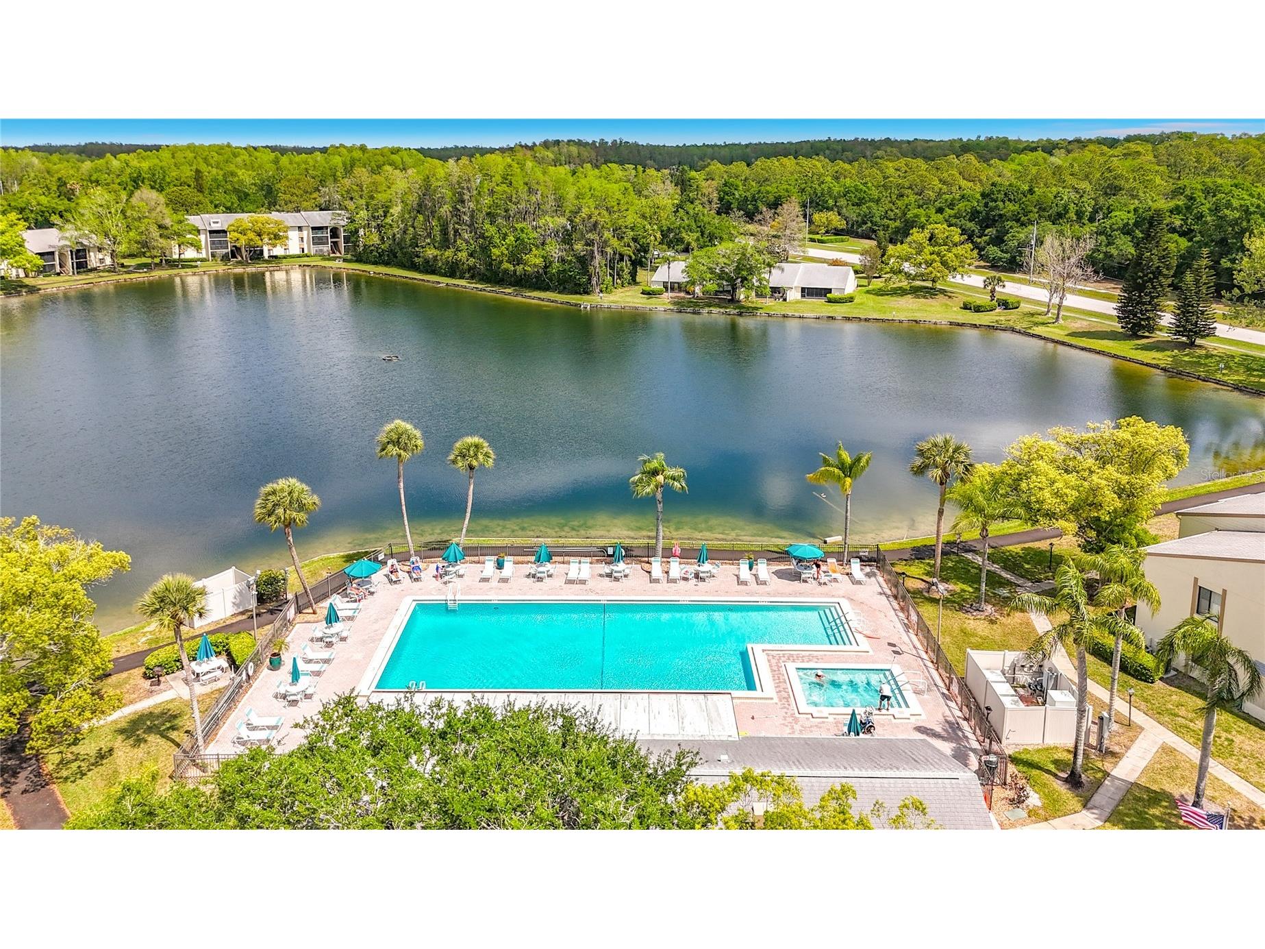 1372 Pine Ridge Circle E #H3 Tarpon Springs FL 34688 TB8493883 image39