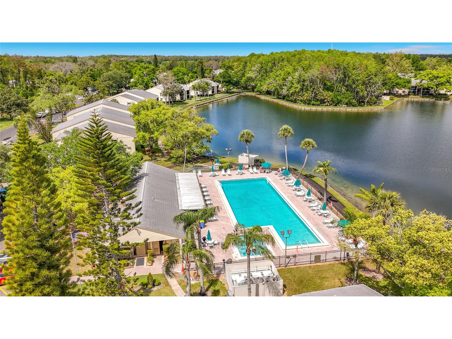 1372 Pine Ridge Circle E #H3 Tarpon Springs FL 34688 TB8493883 image40