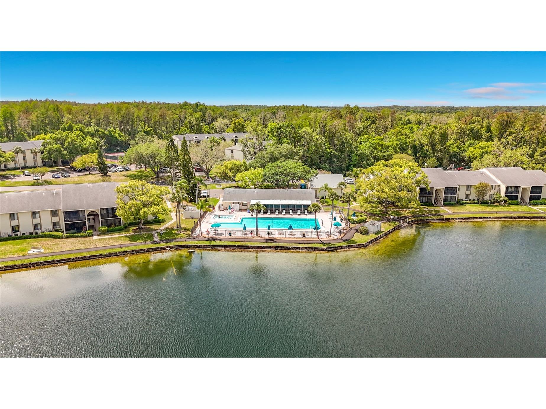 1372 Pine Ridge Circle E #H3 Tarpon Springs FL 34688 TB8493883 image42