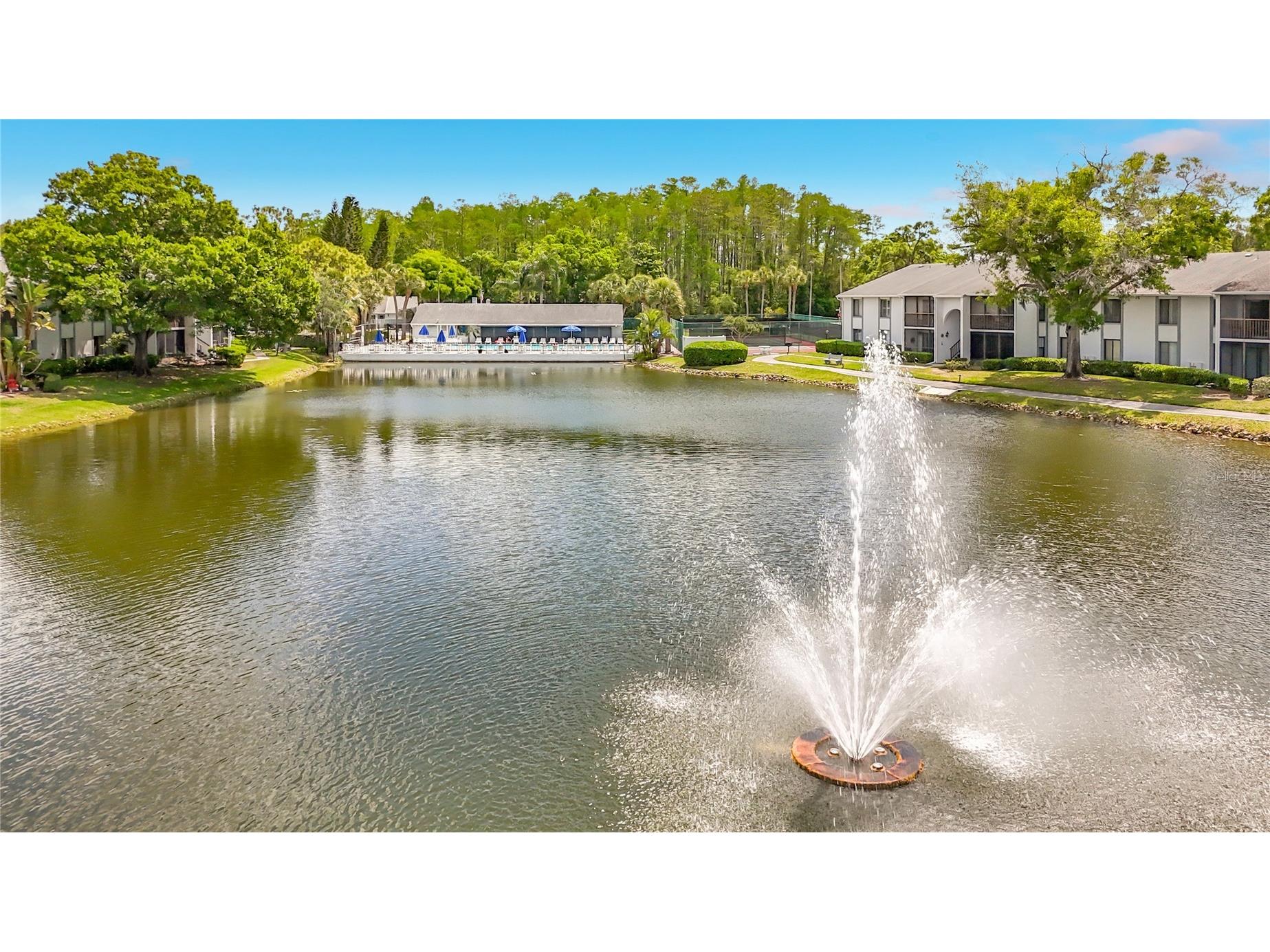 1372 Pine Ridge Circle E #H3 Tarpon Springs FL 34688 TB8493883 image52