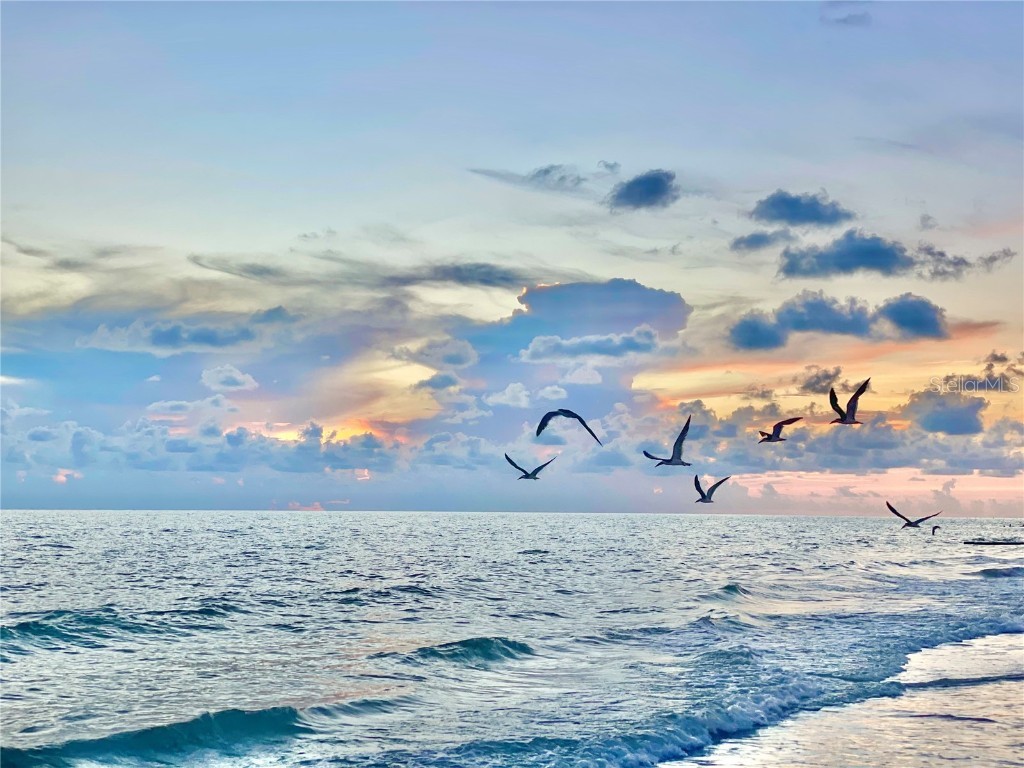 13720 Gulf Boulevard #609 Madeira Beach FL 33708 - GULF OF MEXICO - MADEIRA BEACH O6339022 image5