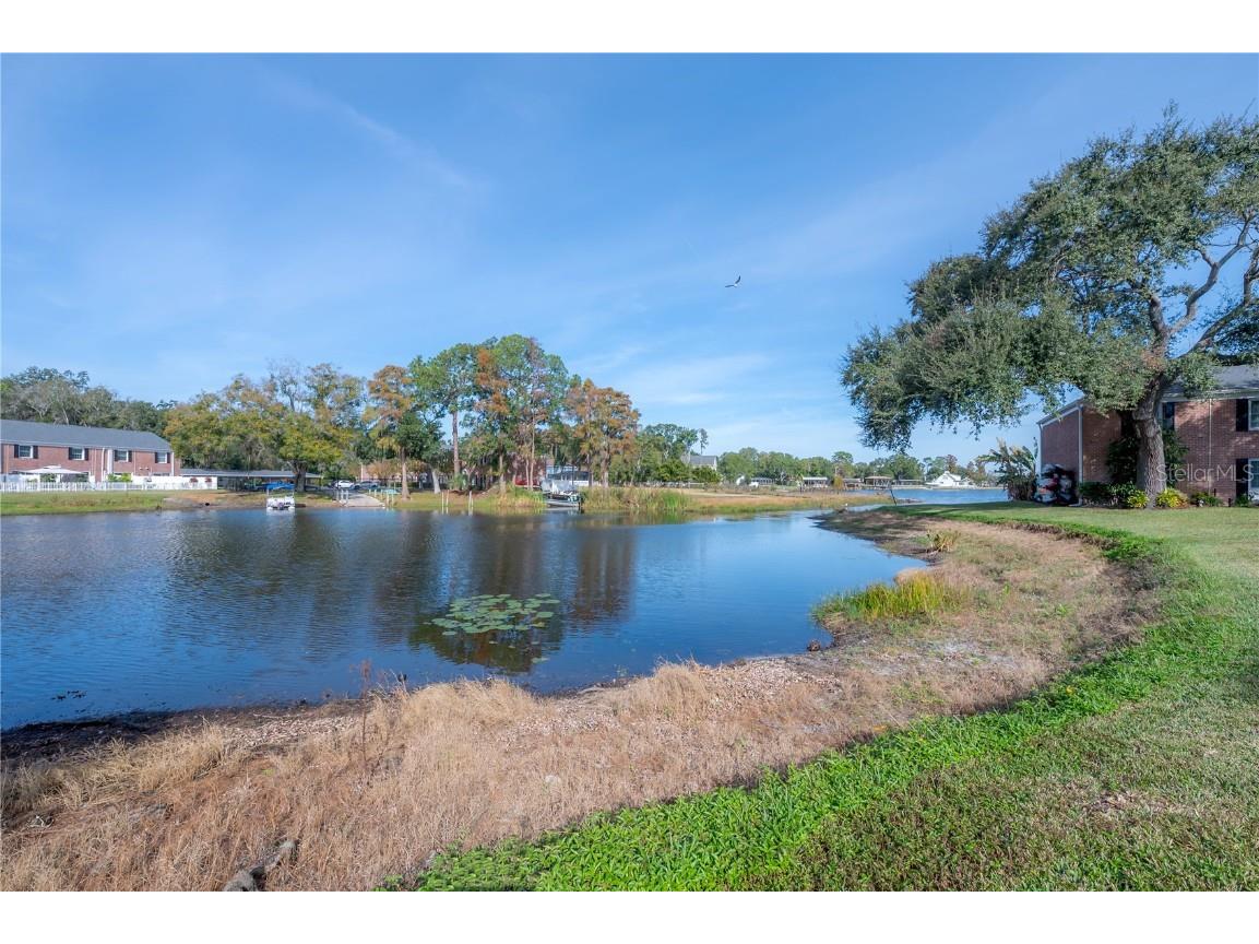13720 Orange Sunset Drive #201 Tampa FL 33618 - LAKE MAGDALENE TB8457242 image5