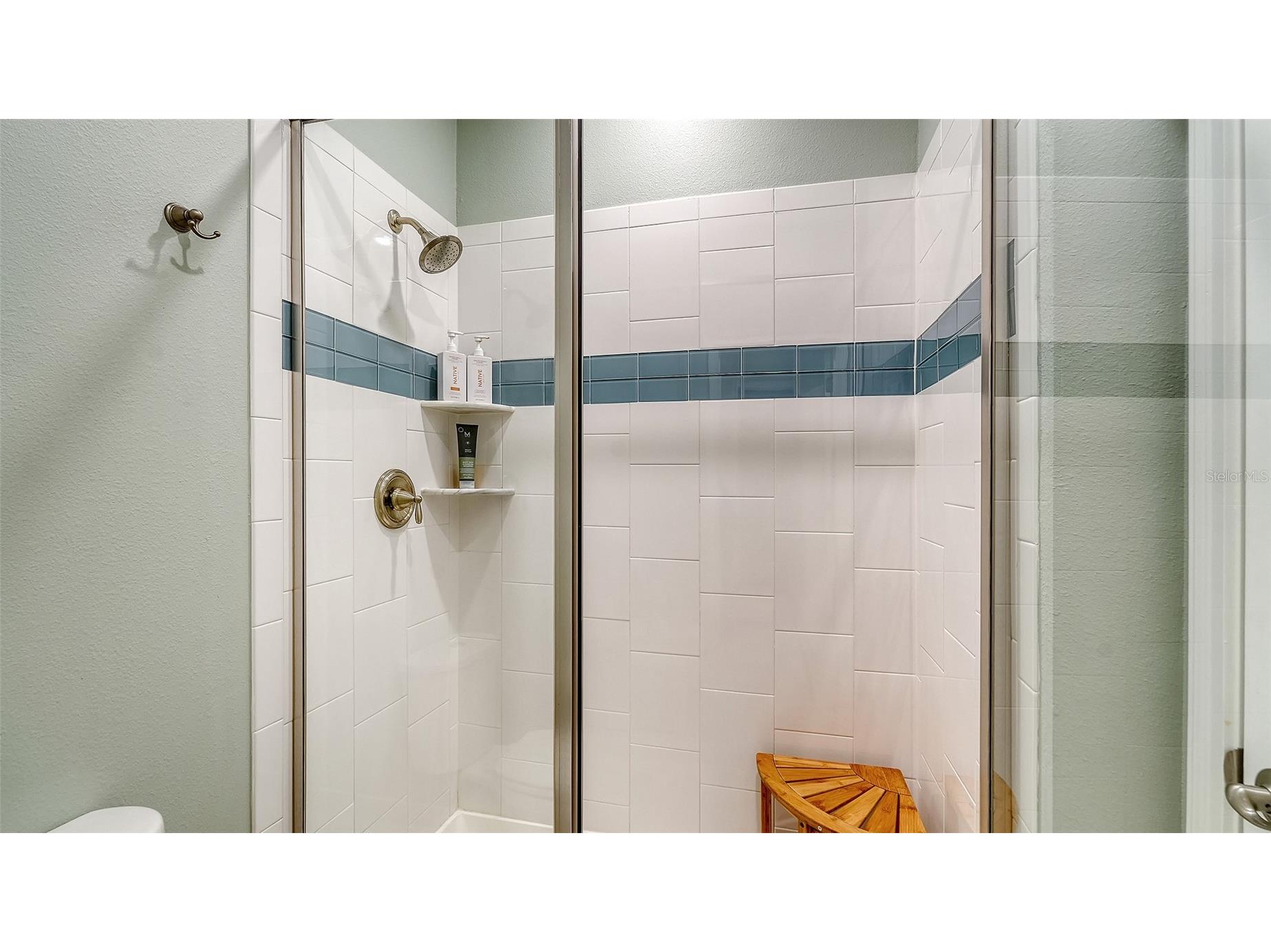13720 Saw Palm Creek Trail Lakewood Ranch FL 34211 A4685288 image34