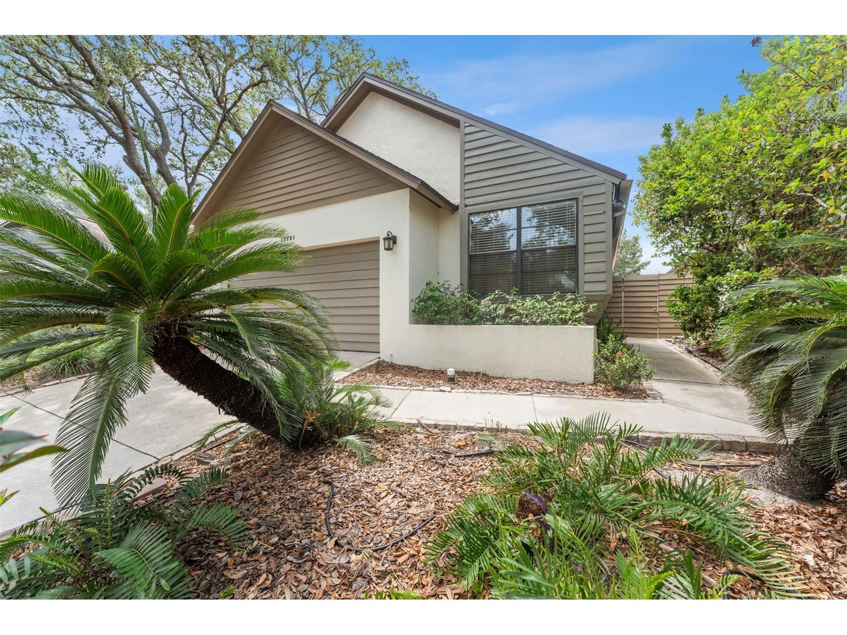 13721 Lazy Oak Drive Tampa FL 33613 TB8524766 image2
