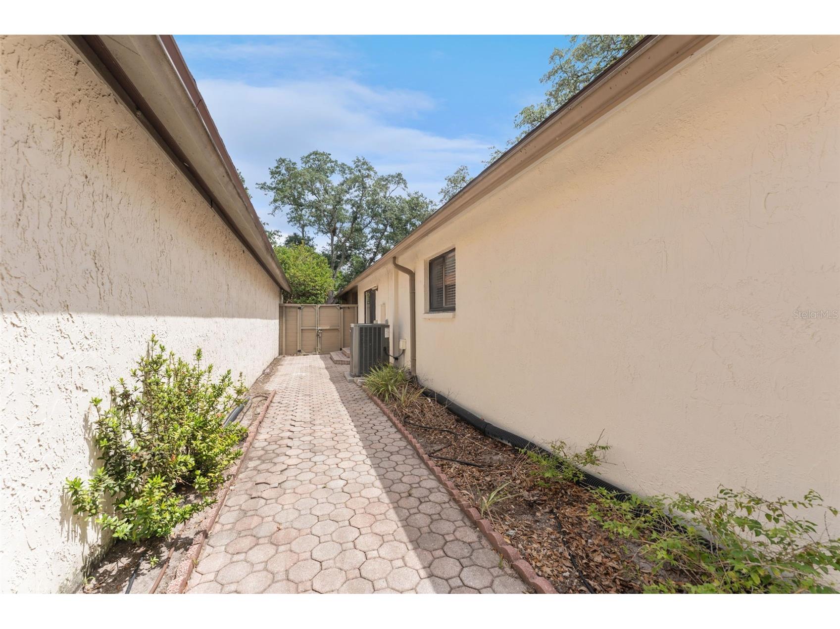 13721 Lazy Oak Drive Tampa FL 33613 TB8524766 image28