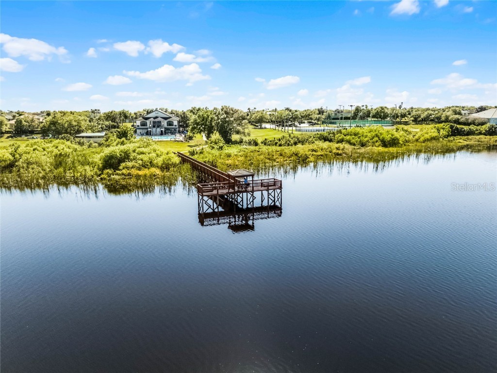 13722 Fox Glove Street Winter Garden FL 34787 O6371378 image50