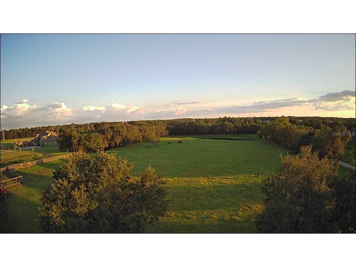 13723 Canterfield Drive Riverview FL 33579 T3329611 image1