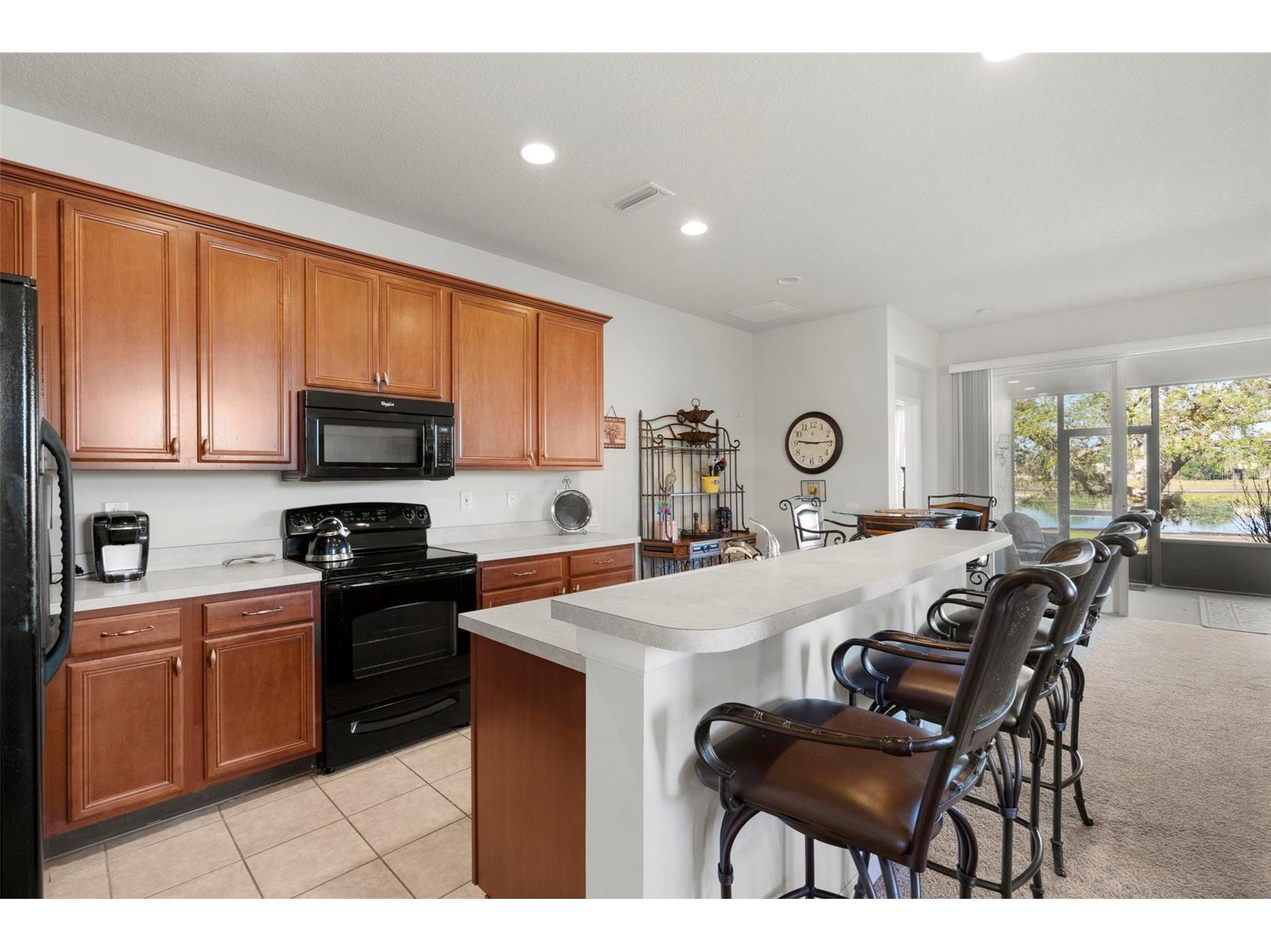 13723 Eastfork Lane Hudson FL 34669 W7884741 image18