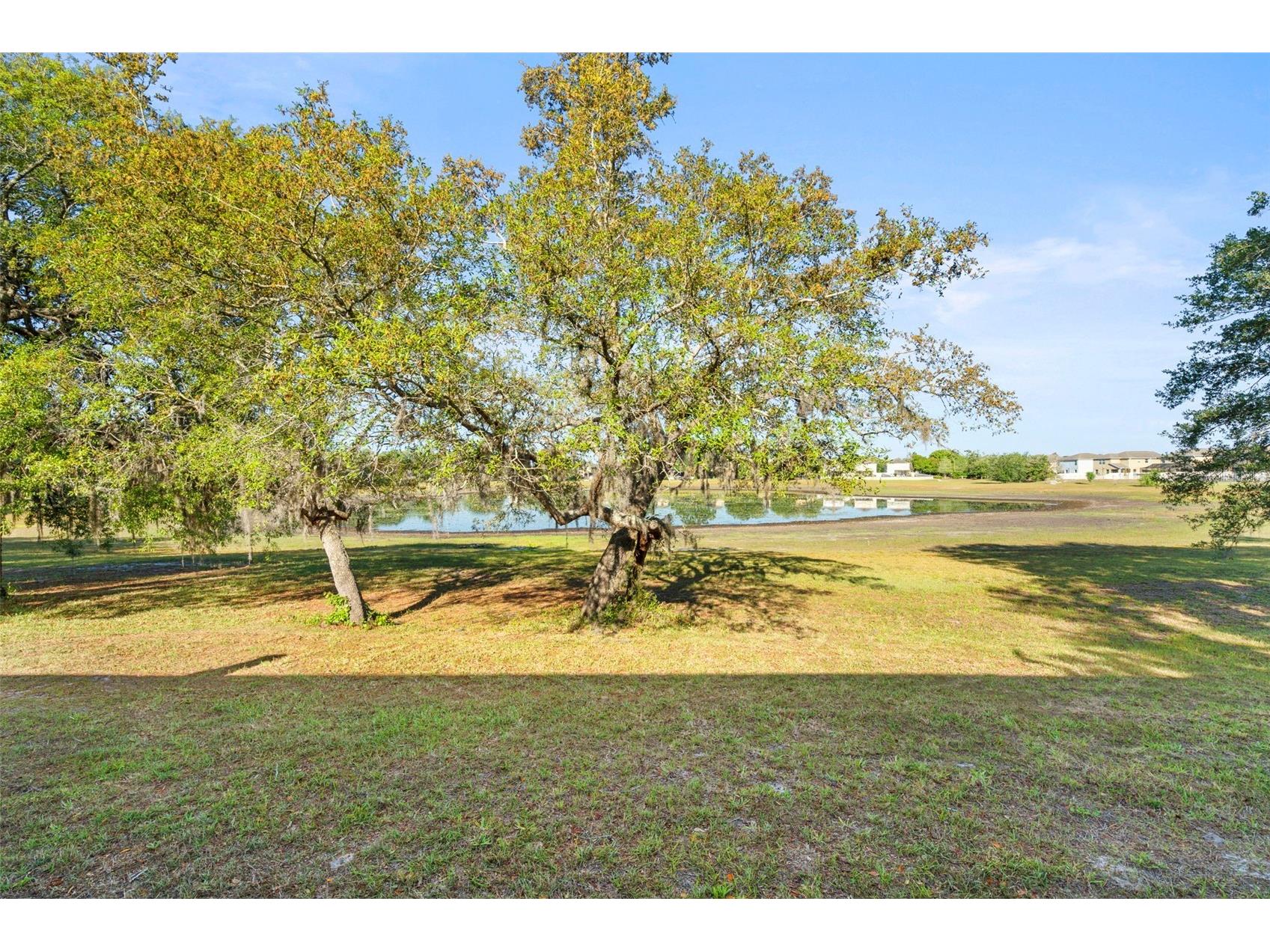 13723 Eastfork Lane Hudson FL 34669 W7884741 image20