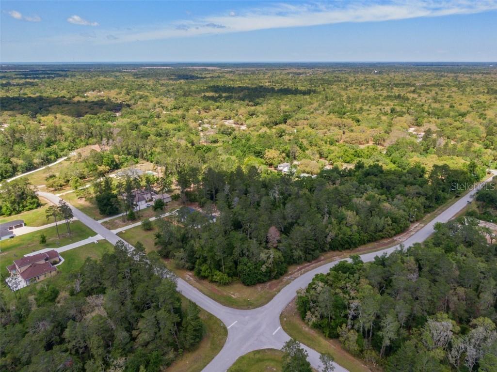 13723 Gopher Pond Court Hudson FL 34669 U8239086 image1