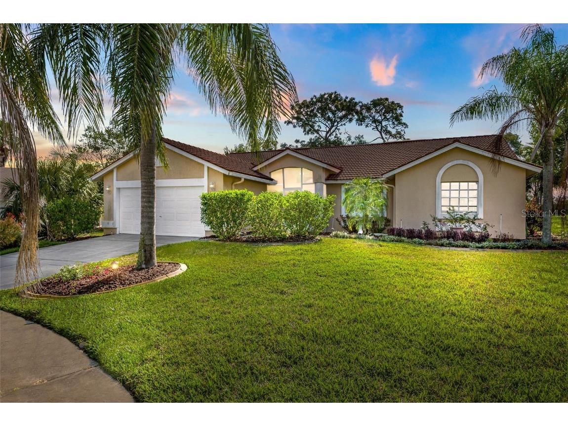 13724 Triumph Court Hudson FL 34667 T3432386 image1