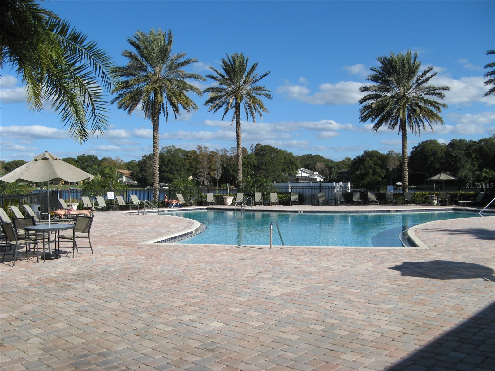 13725 Juniper Blossom Drive #202 Tampa FL 33618 - LAKE MAGDALENE TB8503866 image13