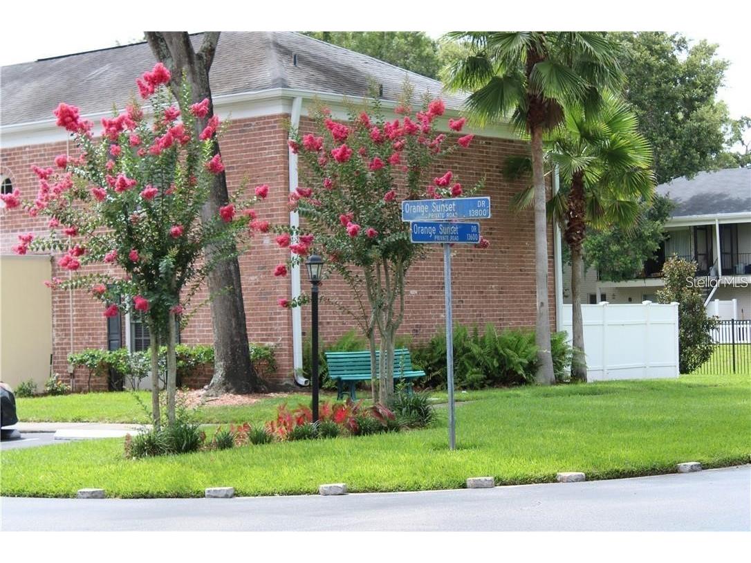 13725 Juniper Blossom Drive #202 Tampa FL 33618 - LAKE MAGDALENE TB8503866 image20