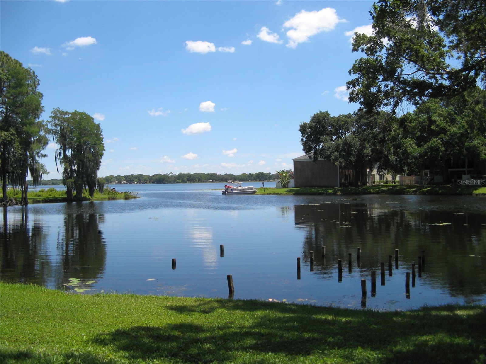 13725 Juniper Blossom Drive #202 Tampa FL 33618 - LAKE MAGDALENE TB8503866 image25