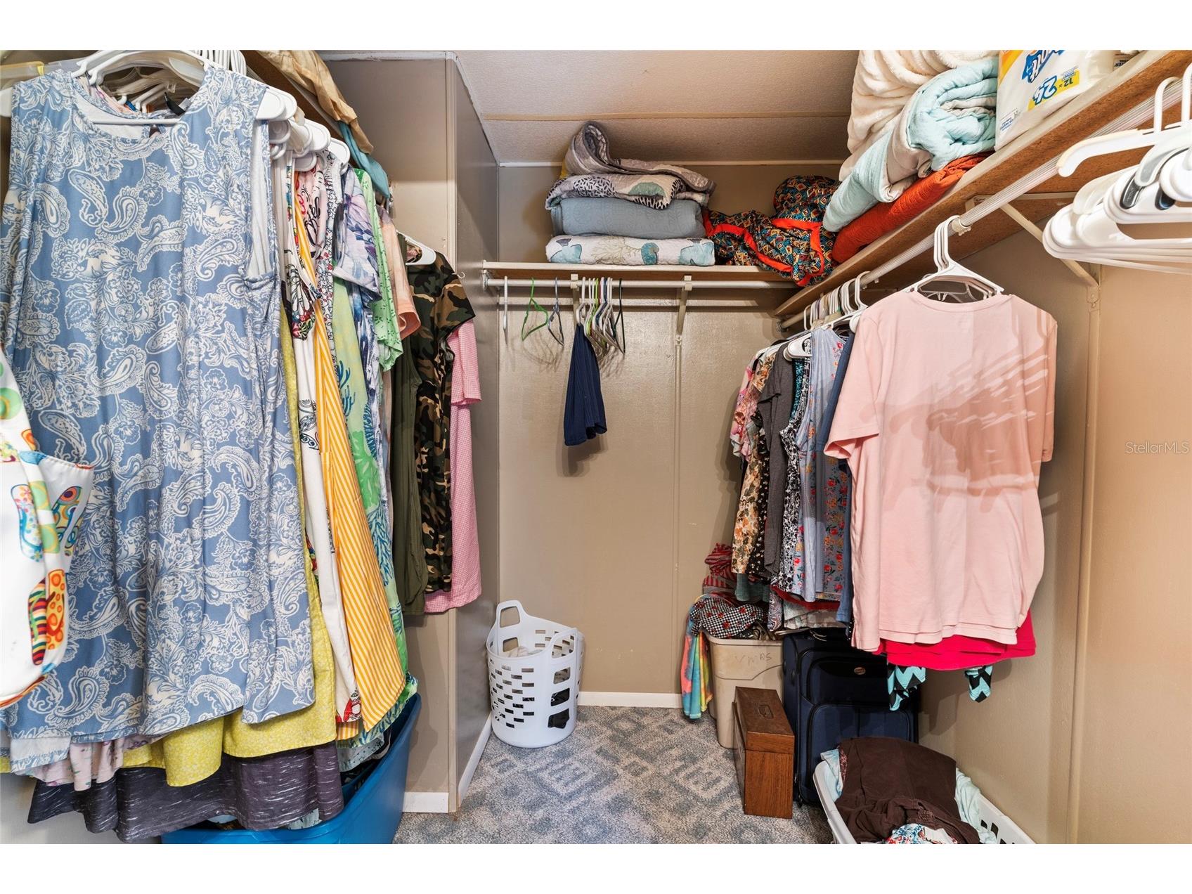 13726 Litewood Drive Hudson FL 34669 TB8466397 image19