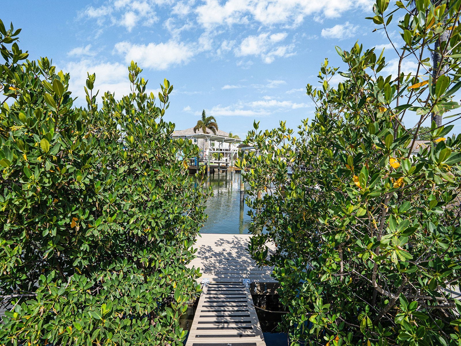 13727 Coco Hudson FL 34667 TB8486650 image38