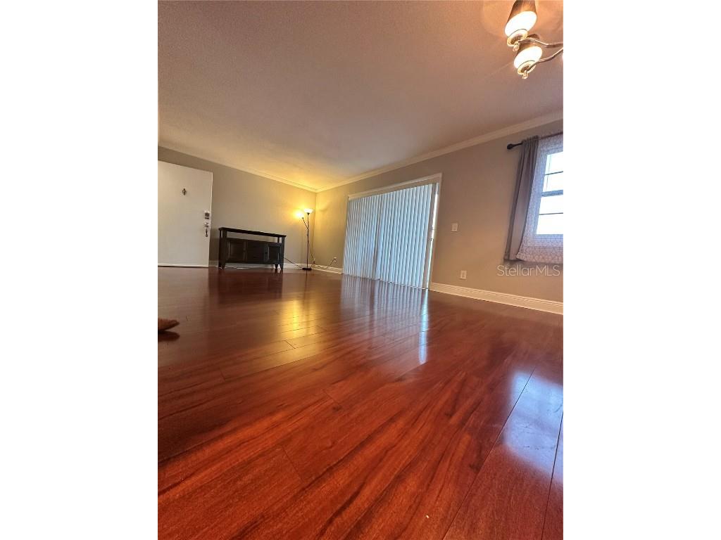 13727 Juniper Blossom Drive #101 Tampa FL 33618 TB8437546 image10