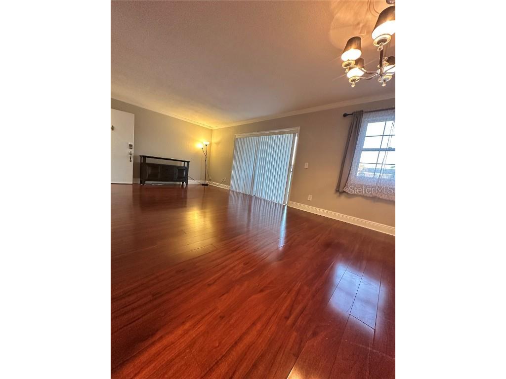 13727 Juniper Blossom Drive #101 Tampa FL 33618 TB8437546 image11