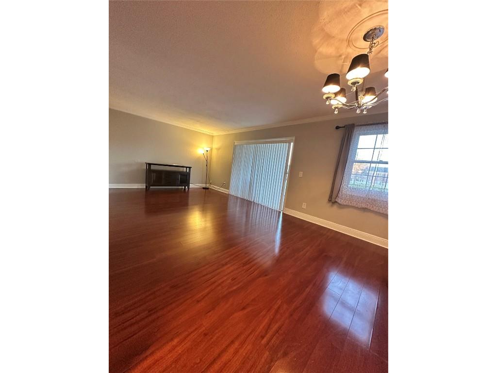 13727 Juniper Blossom Drive #101 Tampa FL 33618 TB8437546 image8