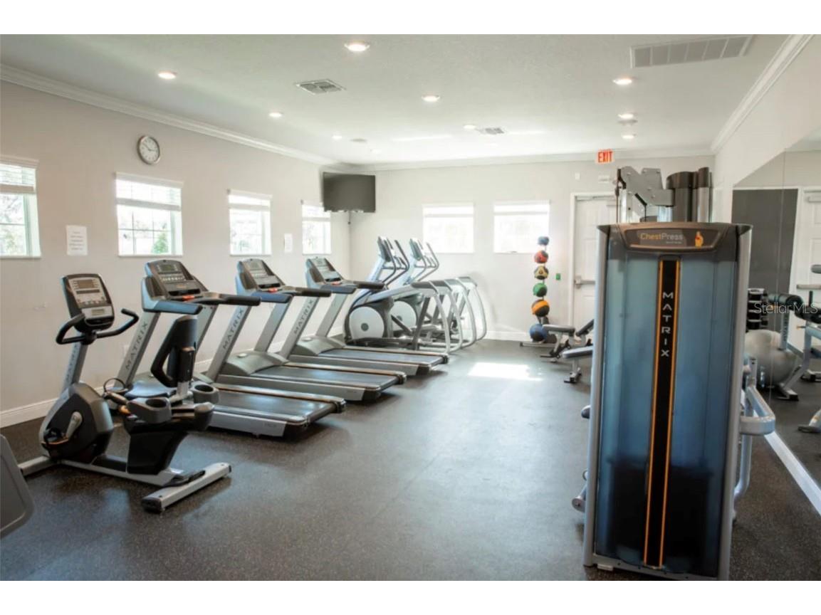 13728 Newport Shores Drive Hudson FL 34669 TB8443410 image30