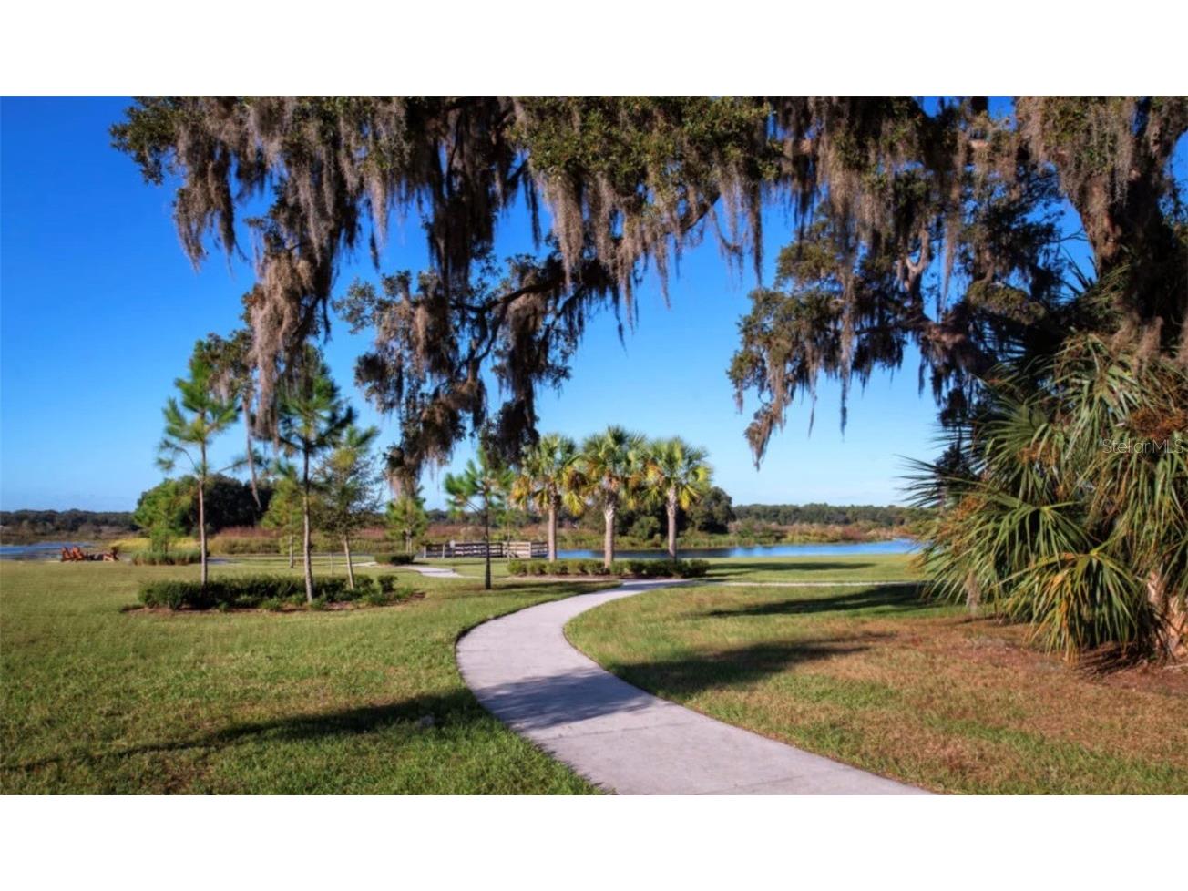 13728 Newport Shores Drive Hudson FL 34669 TB8443410 image37