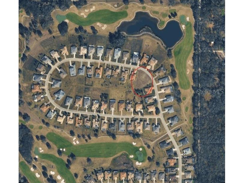 13729 Carryback Drive Dade City FL 33525 TB8501798 image2