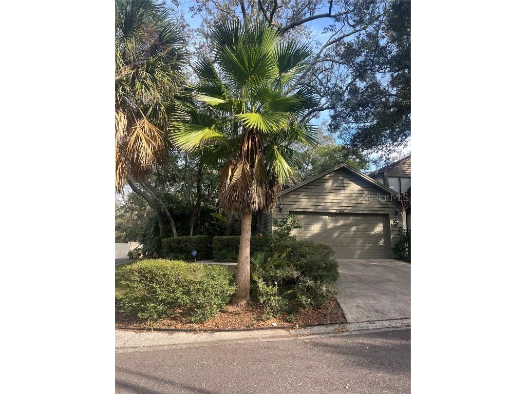 13729 Lazy Oak Drive #15 Tampa FL 33613 T3487535 image1