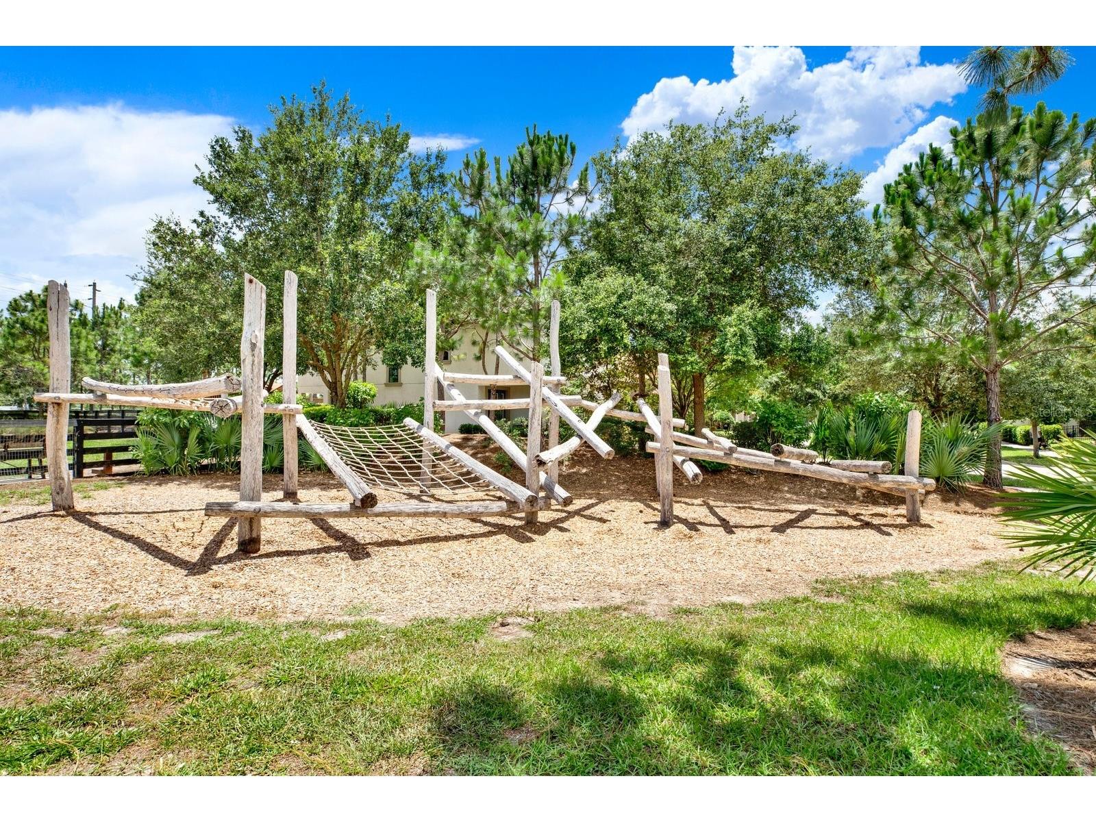 13729 Rangeland Boulevard Odessa FL 33556 TB8520170 image27
