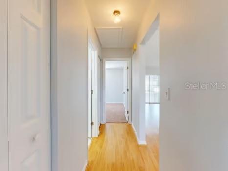 13729 SE 89th Avenue Summerfield FL 34491 A4646770 image33