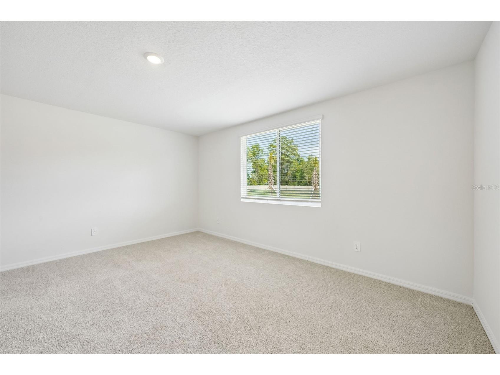 13729 Umber Forest Street Hudson FL 34669 TB8518105 image32