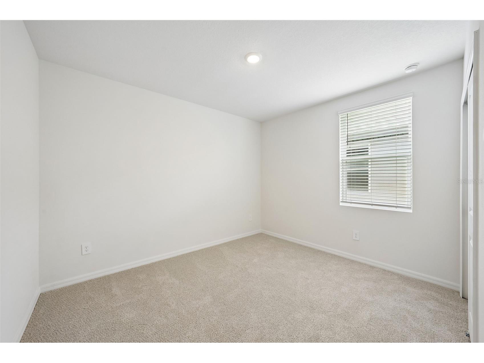 13729 Umber Forest Street Hudson FL 34669 TB8518105 image43