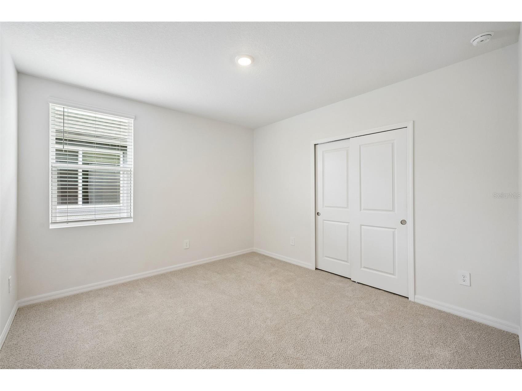 13729 Umber Forest Street Hudson FL 34669 TB8518105 image51