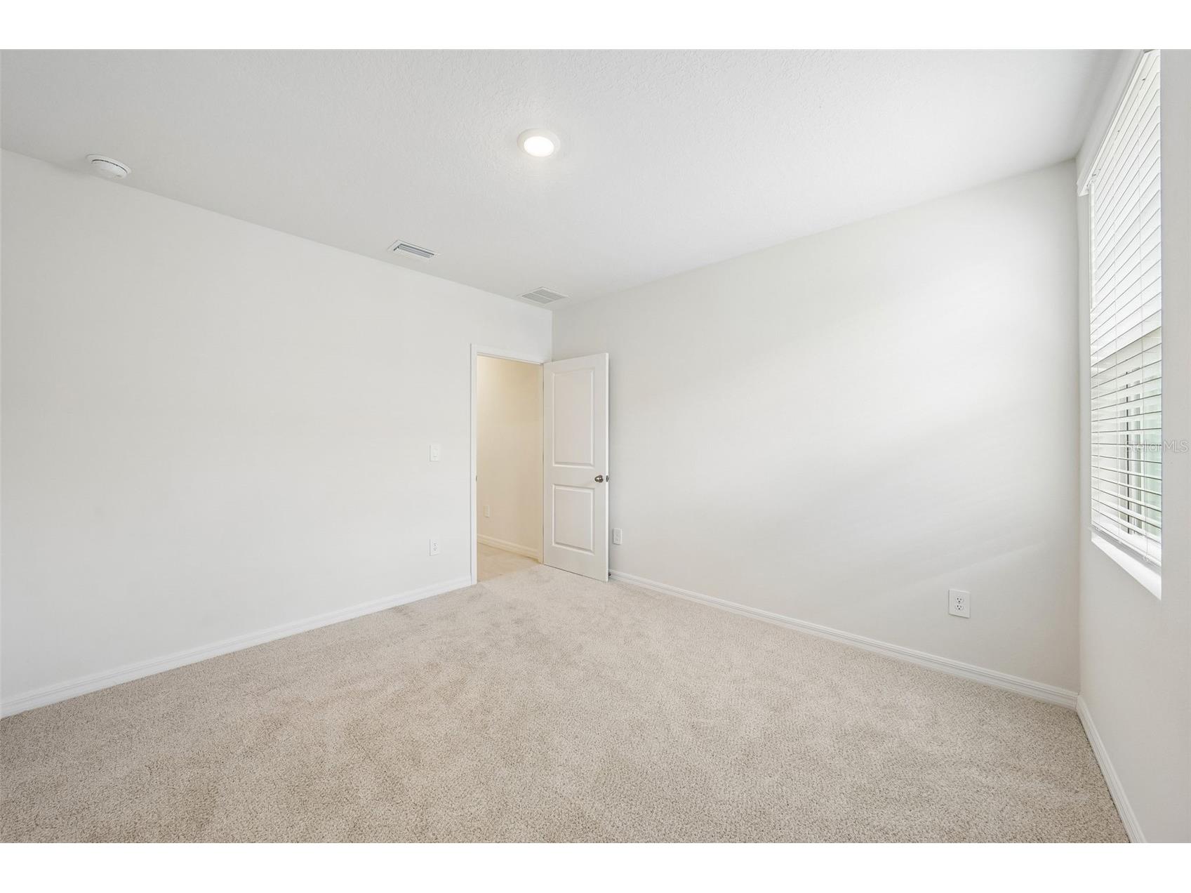 13729 Umber Forest Street Hudson FL 34669 TB8518105 image53