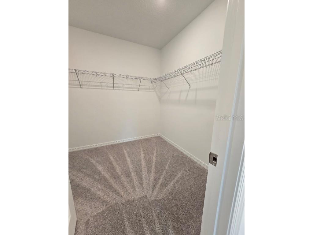 1373 Addison Bluff Lane Kissimmee FL 34744 S5139978 image10