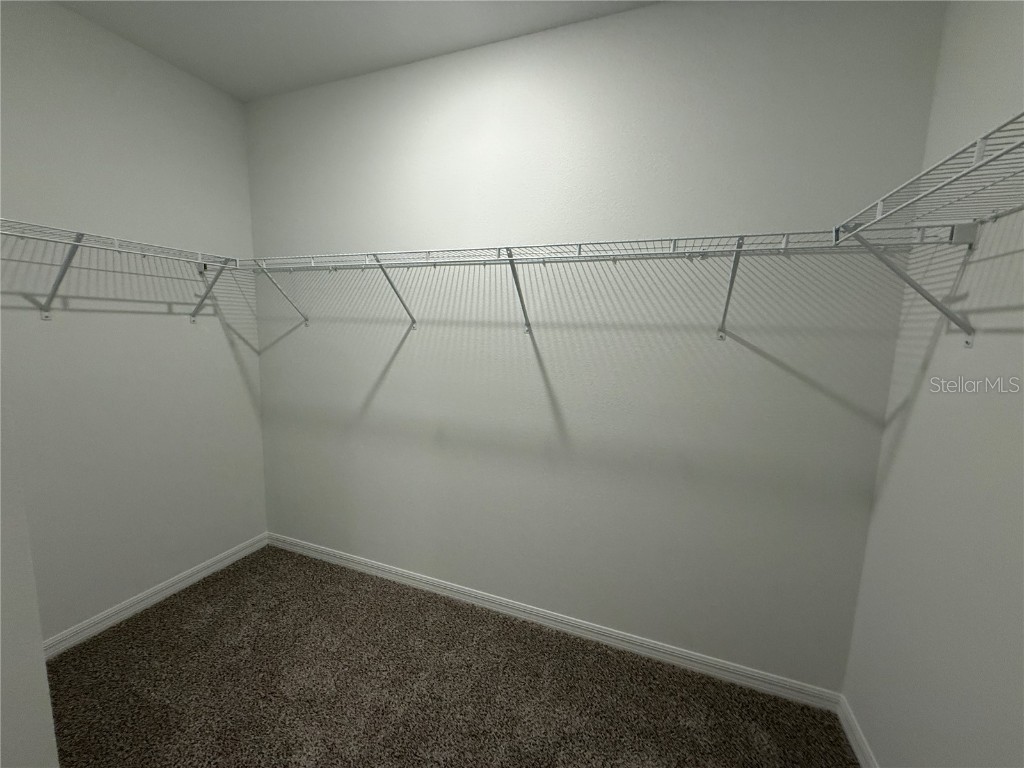 1373 Current Place Haines City FL 33844 O6314119 image24