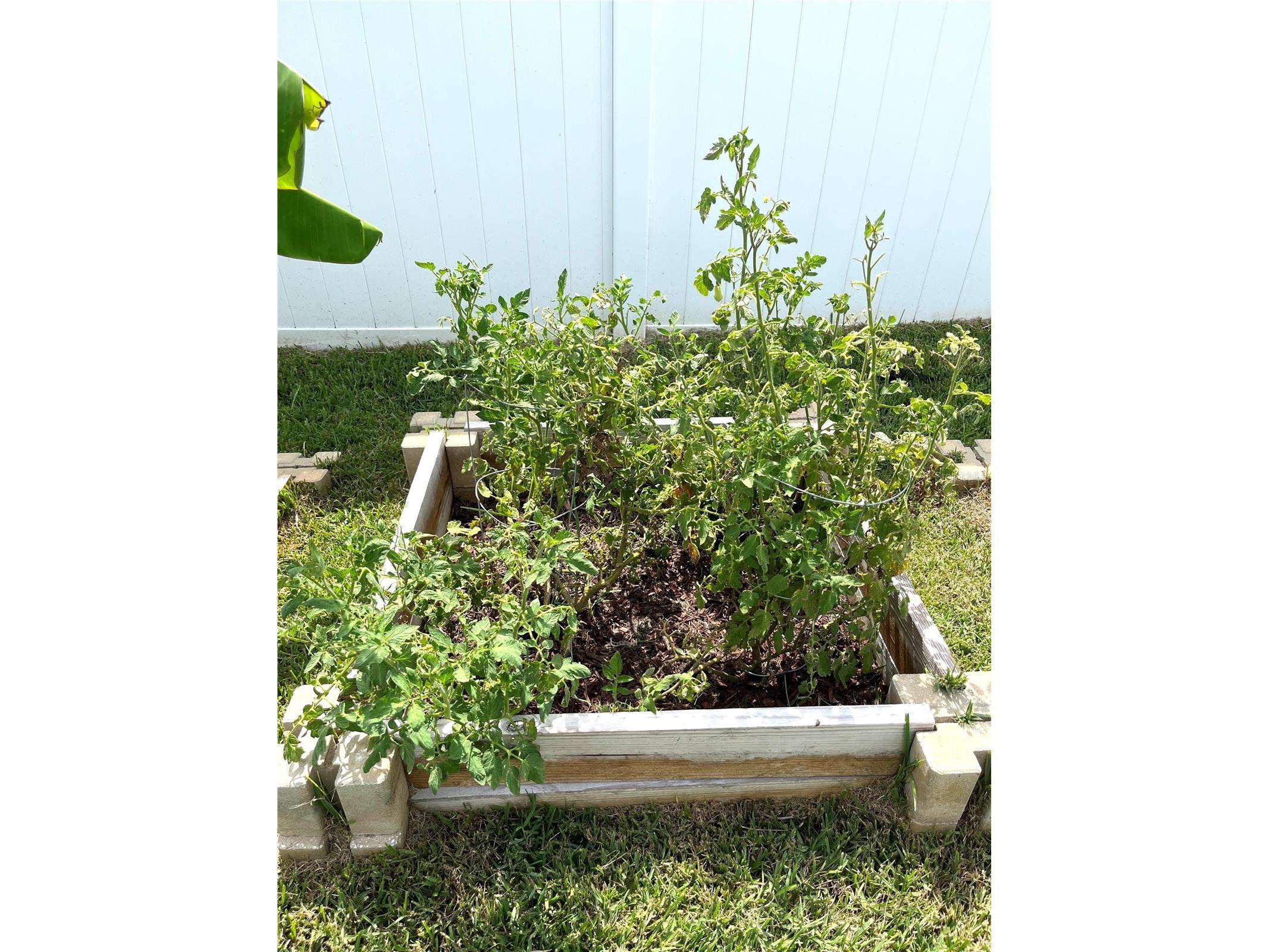 1373 Mezzavalle Way Auburndale FL 33823 L4961013 image28