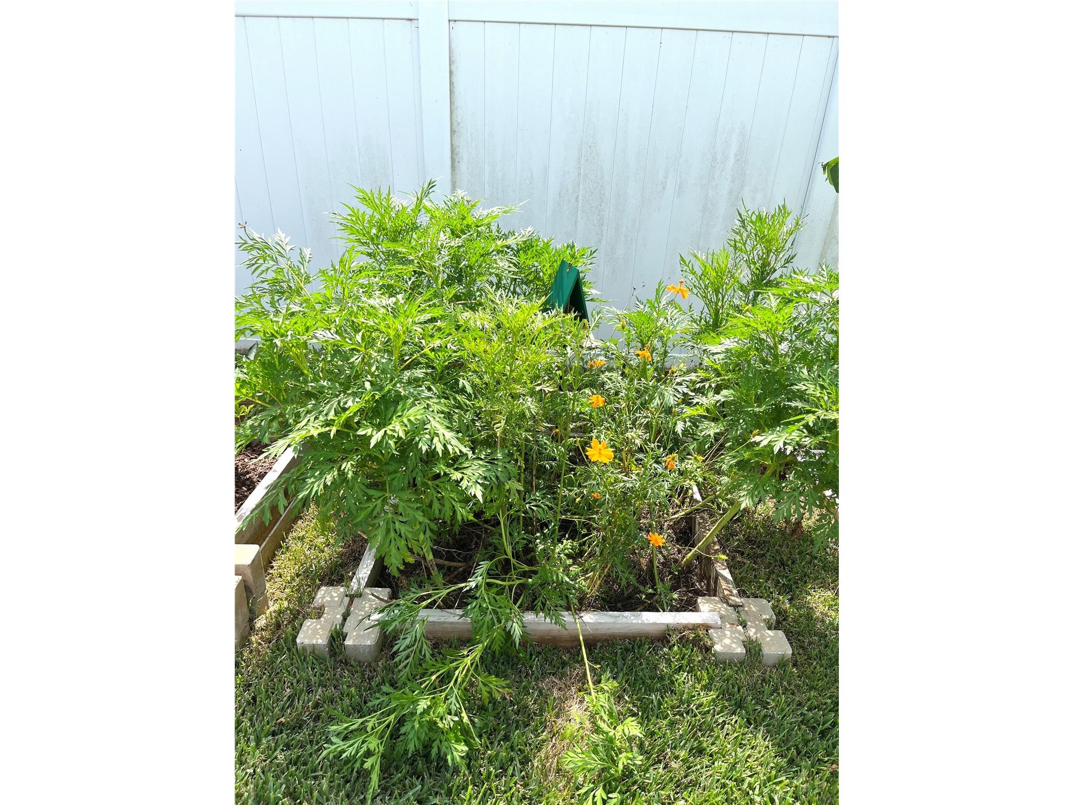 1373 Mezzavalle Way Auburndale FL 33823 L4961013 image31