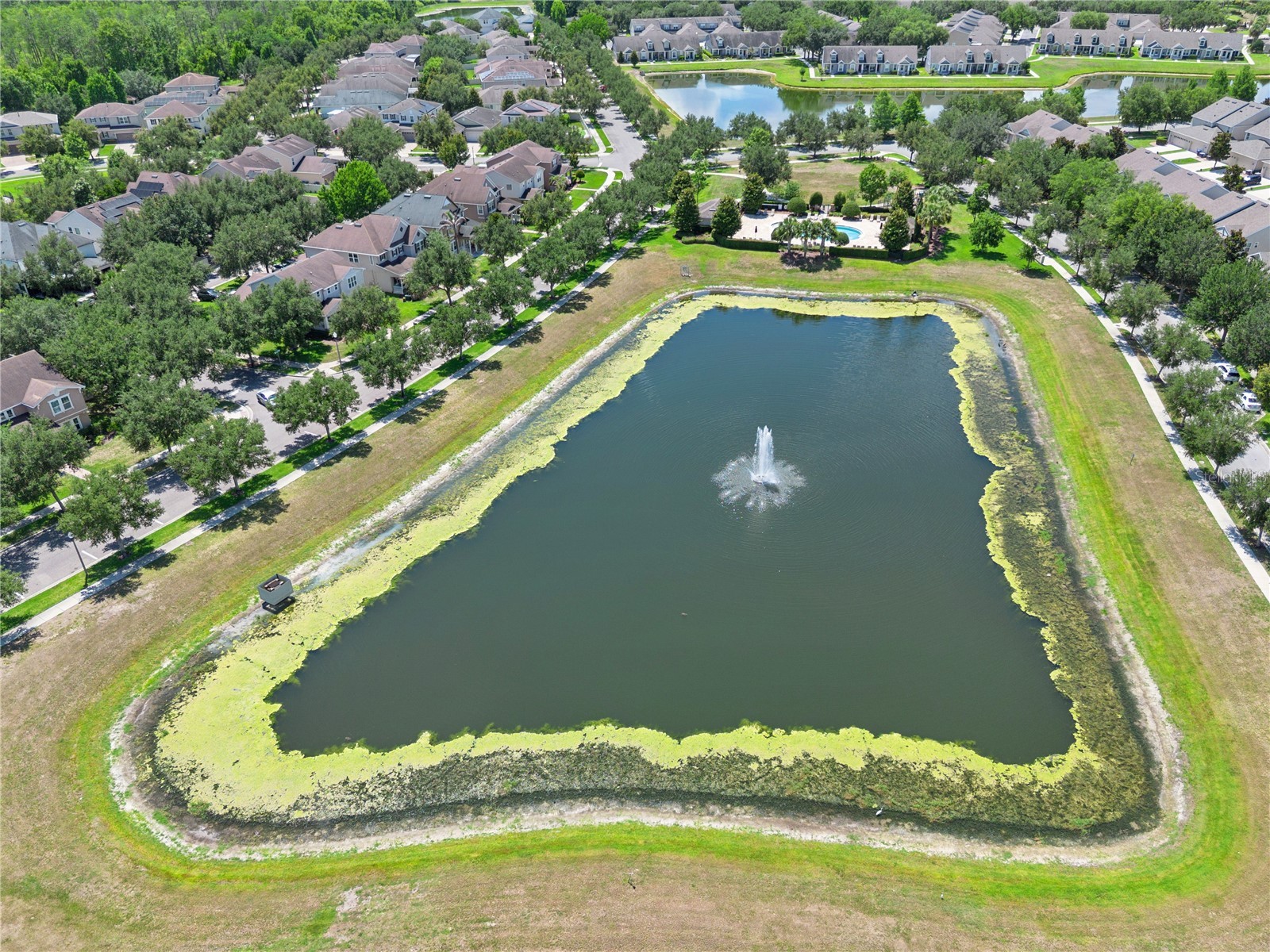 13730 Calera Alley Windermere FL 34786 O6410129 image41