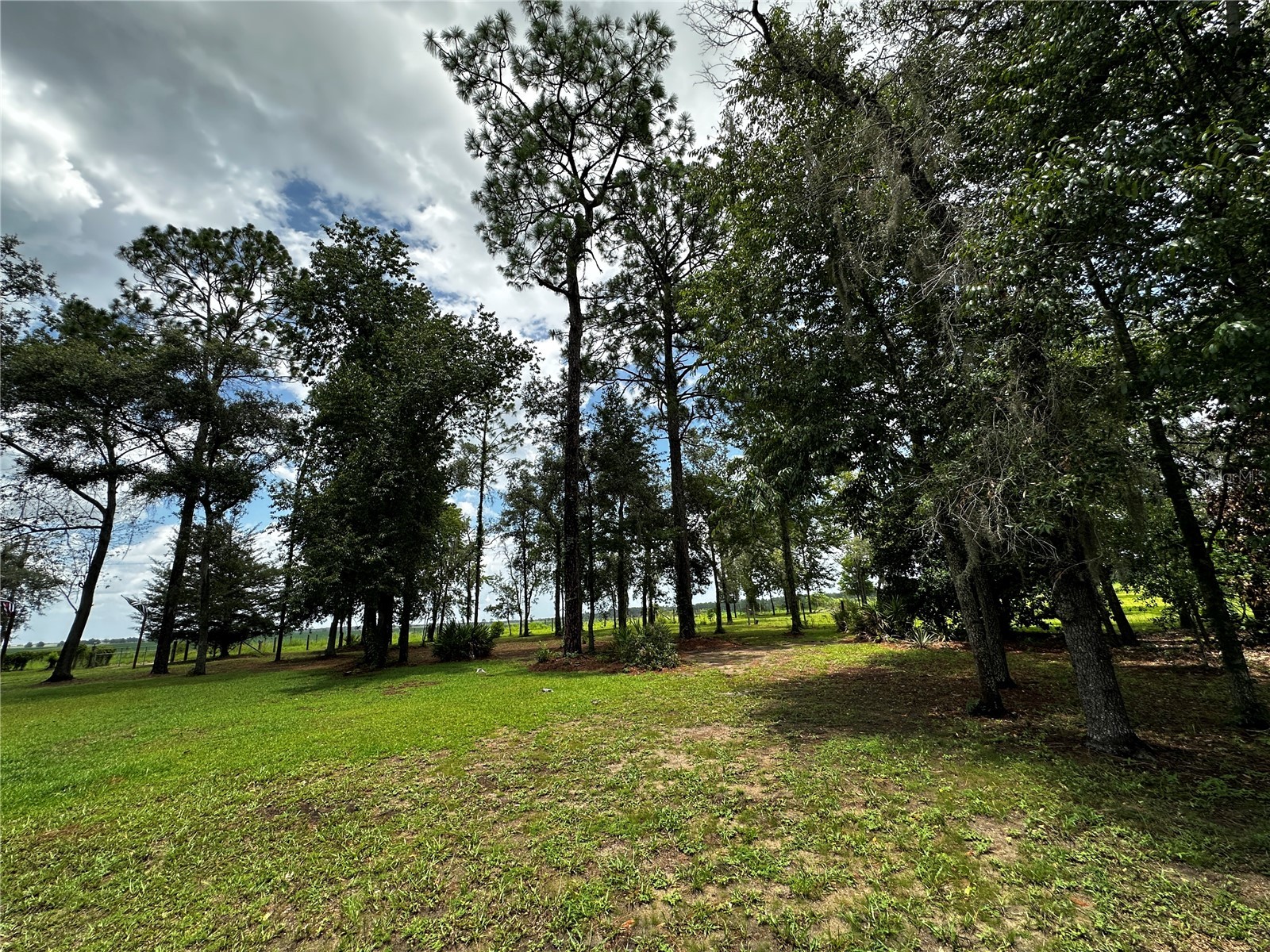 13730 SE 20th Street Morriston FL 32668 OM728992 image34