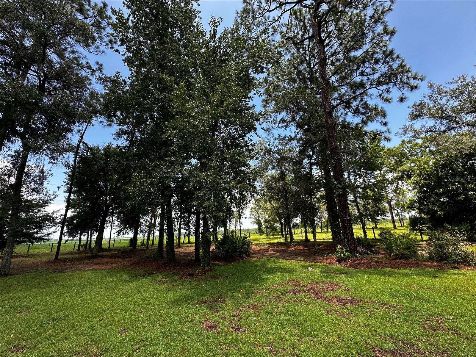 13730 SE 20th Street Morriston FL 32668 OM728992 image5