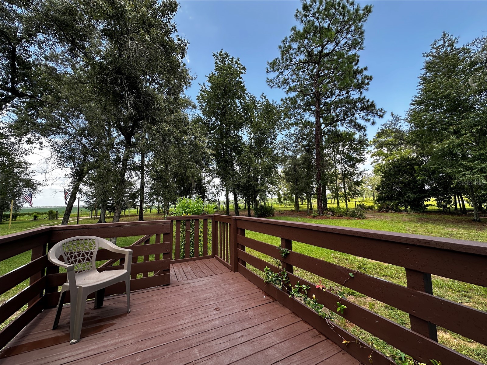 13730 SE 20th Street Morriston FL 32668 OM728992 image6