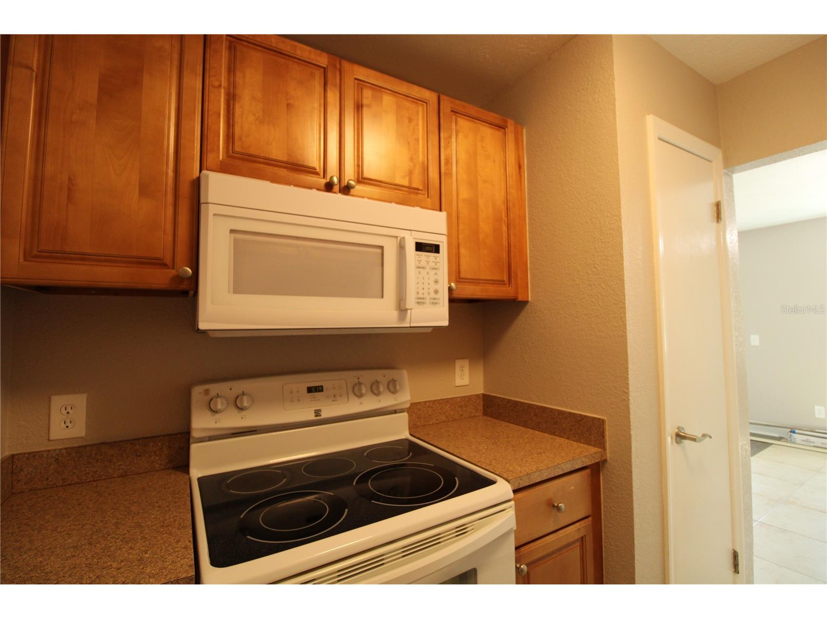 13731 Juniper Blossom Drive #201 Tampa FL 33618 - LAKE MAGDALENE TB8493470 image12