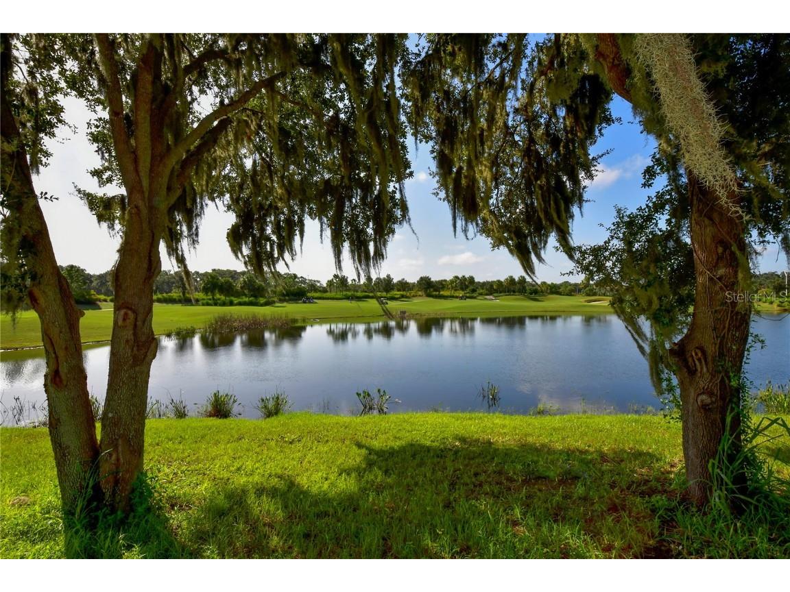 13732 Messina Loop #201 Bradenton FL 34211 O6014333 image41