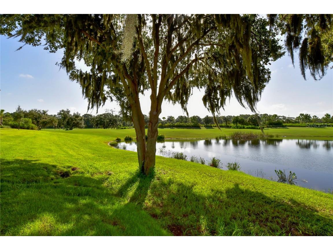 13732 Messina Loop #201 Bradenton FL 34211 O6014333 image42