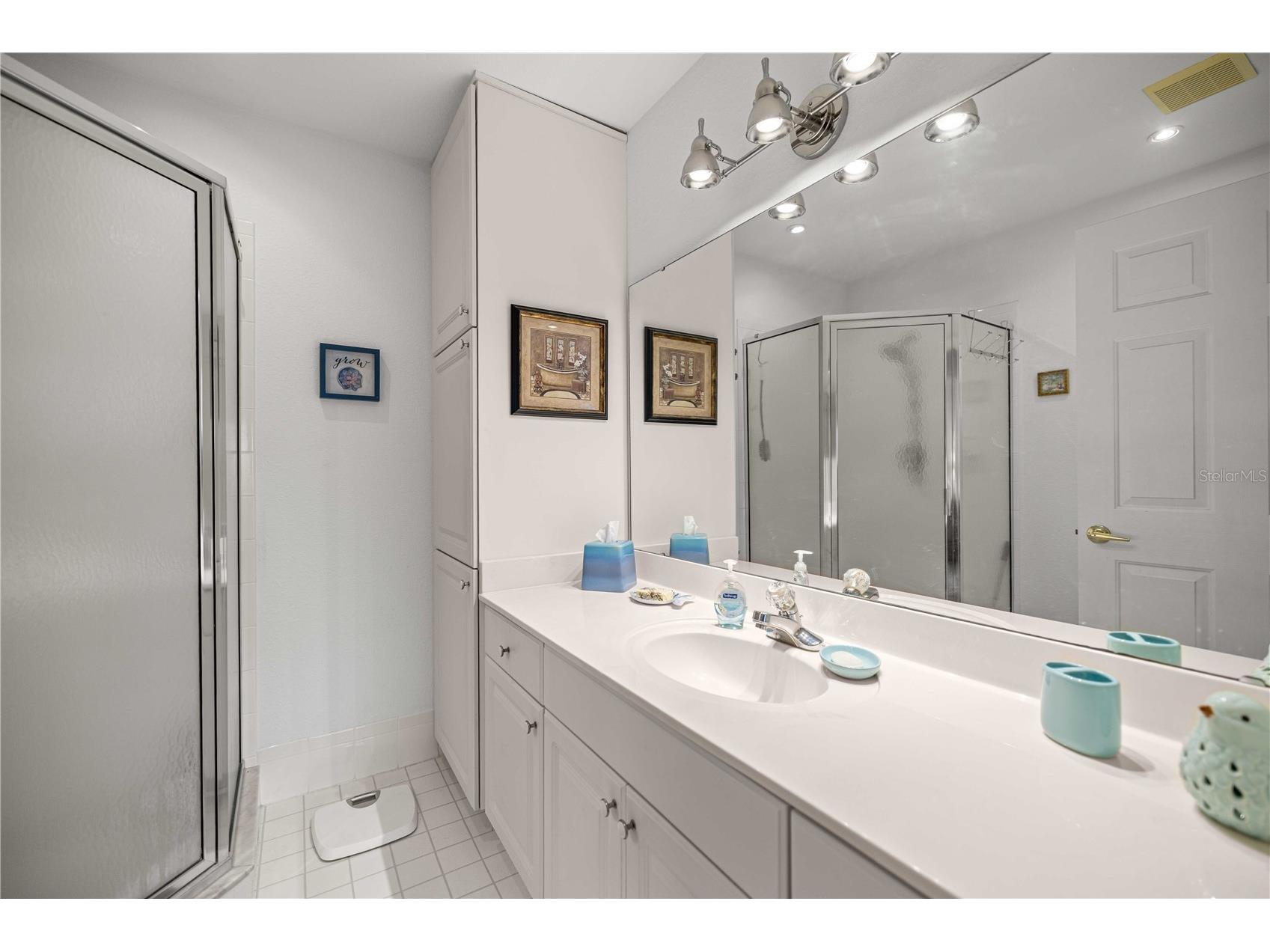 13732 SE 88th Court Summerfield FL 34491 OM723495 image15