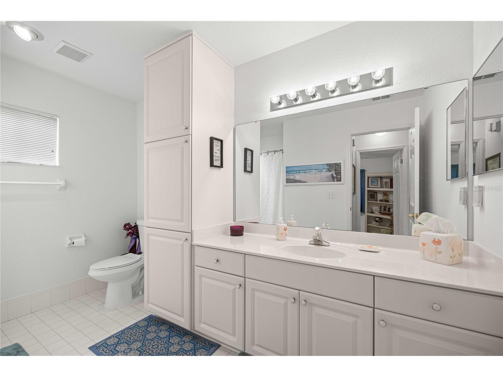 13732 SE 88th Court Summerfield FL 34491 OM723495 image19