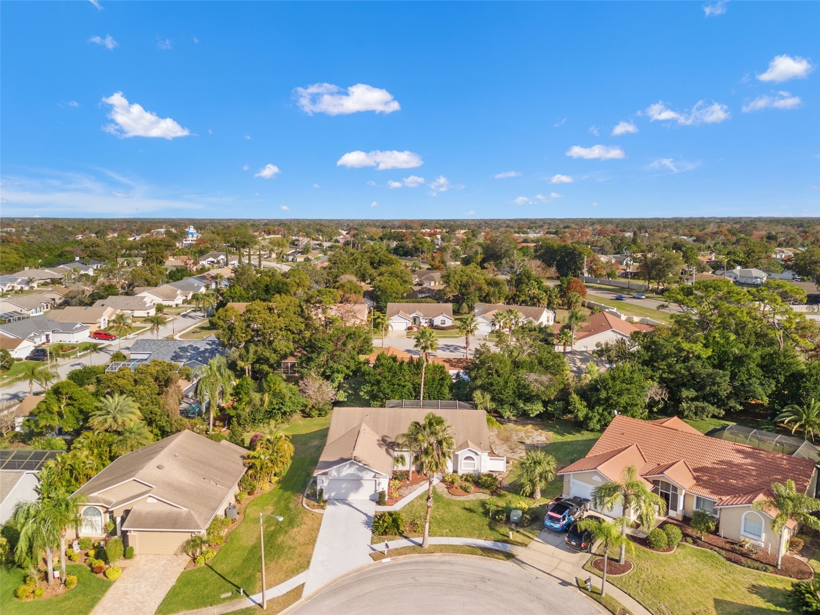 13732 Triumph Court Hudson FL 34667 TB8464357 image25