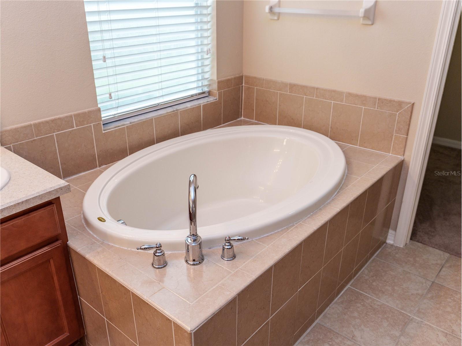 13733 Covey Run Place Spring Hill FL 34609 W7886323 image12